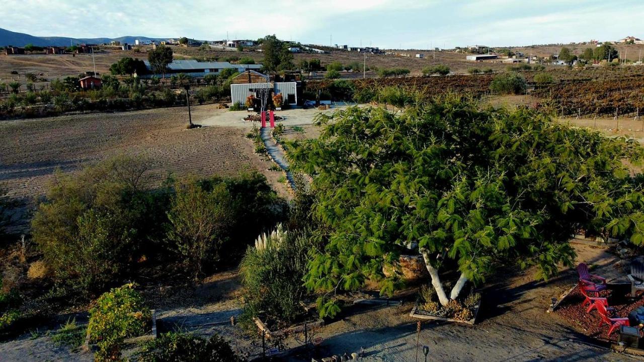 Finca Vidandrei Casa Mazahua Valle de Guadalupe Exterior photo